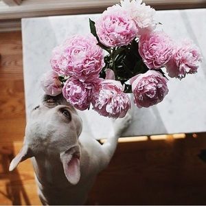 Meet your Posher, Tu